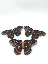 Load image into Gallery viewer, Cecropia Moth