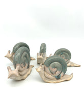 Load image into Gallery viewer, Garden Snail
