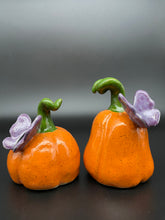 Load image into Gallery viewer, Butterfly Pumpkins
