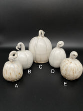 Load image into Gallery viewer, Pumpkins
