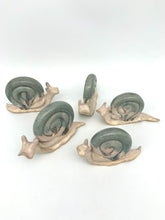 Load image into Gallery viewer, Garden Snail
