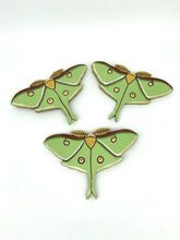 Load image into Gallery viewer, Luna Moth
