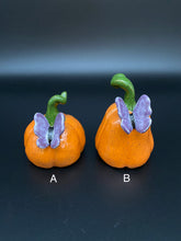 Load image into Gallery viewer, Butterfly Pumpkins
