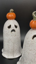 Load and play video in Gallery viewer, Pumpkin Ghosts
